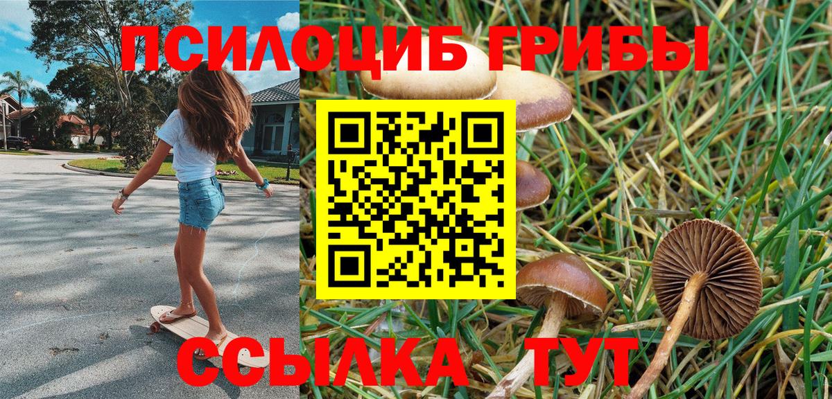 Псилоцибиновые грибы MAGIC MUSHROOMS Гай